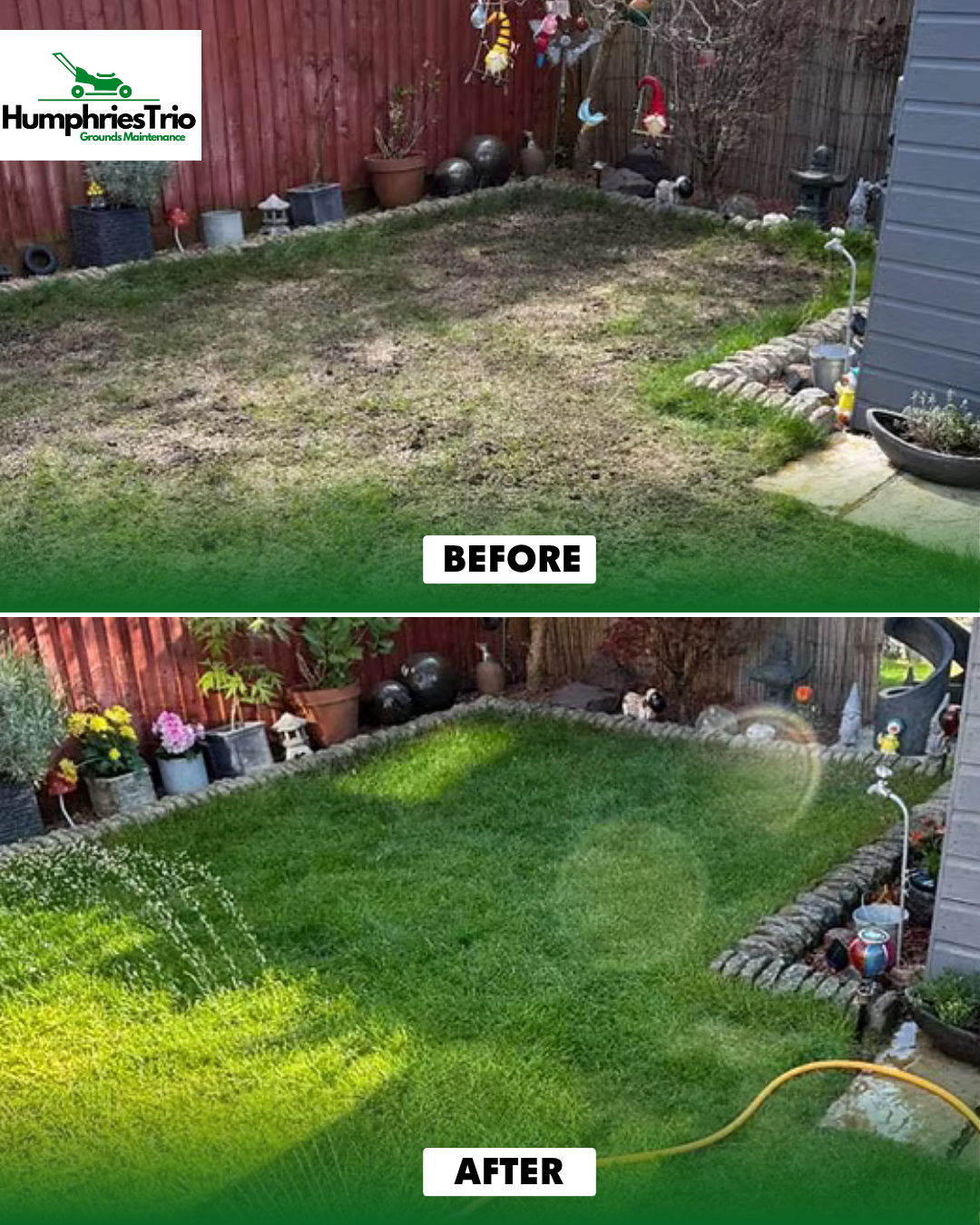 Turf renovation and recovery before and after