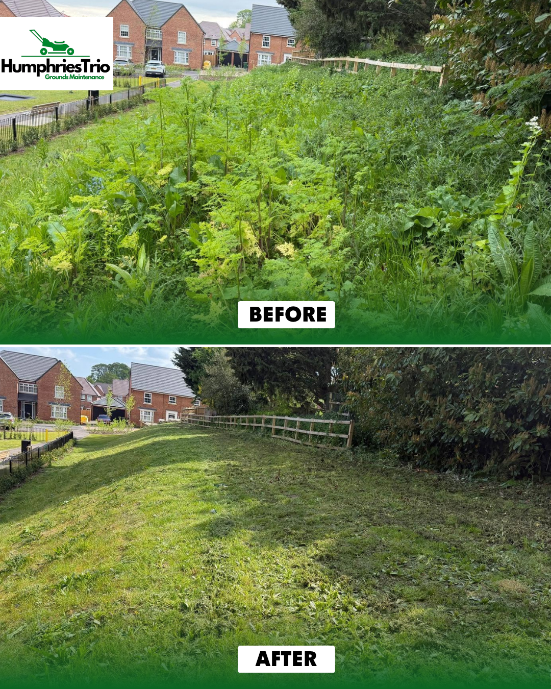 Vegetation clearance before and after