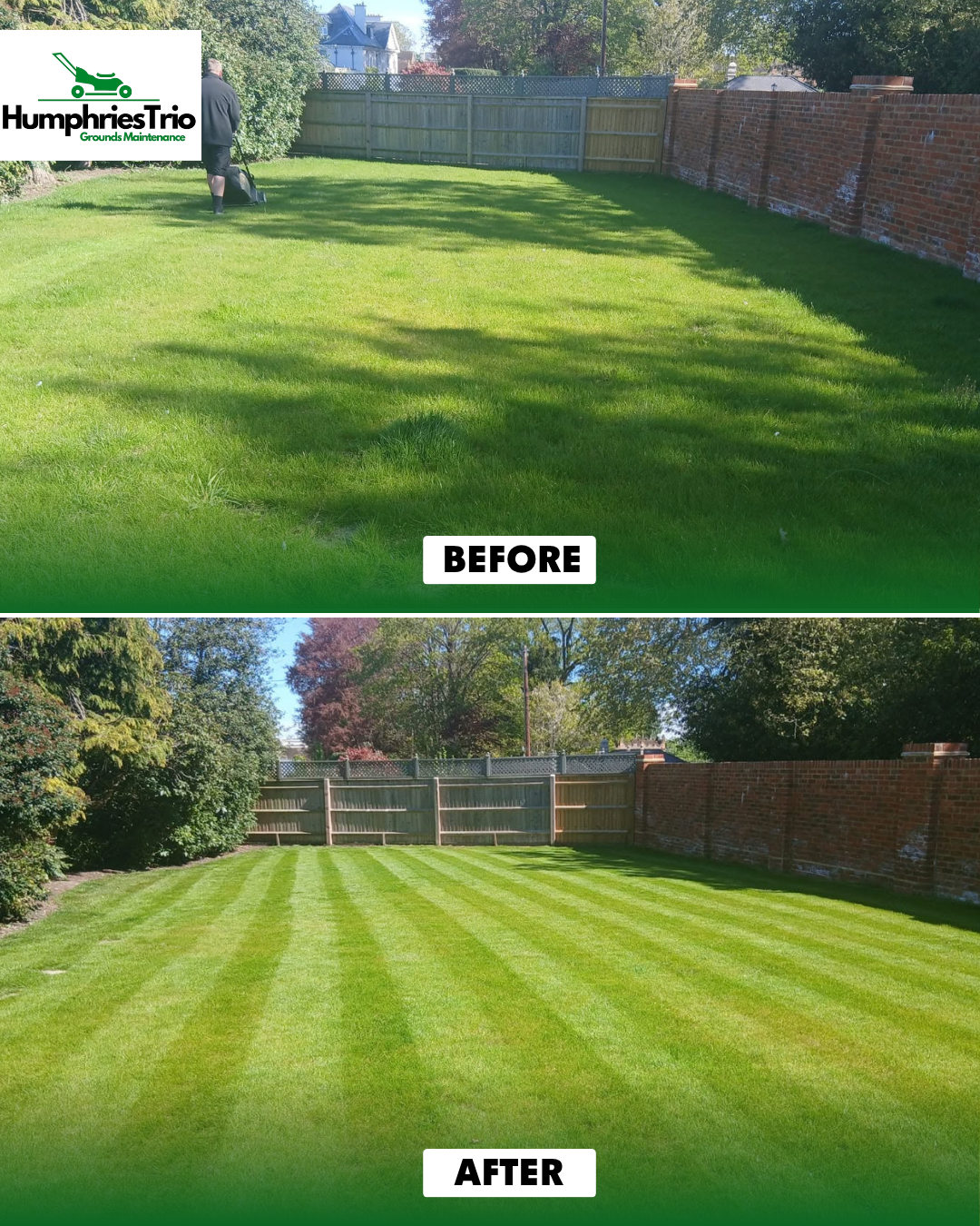 Fine turf renovation before and after