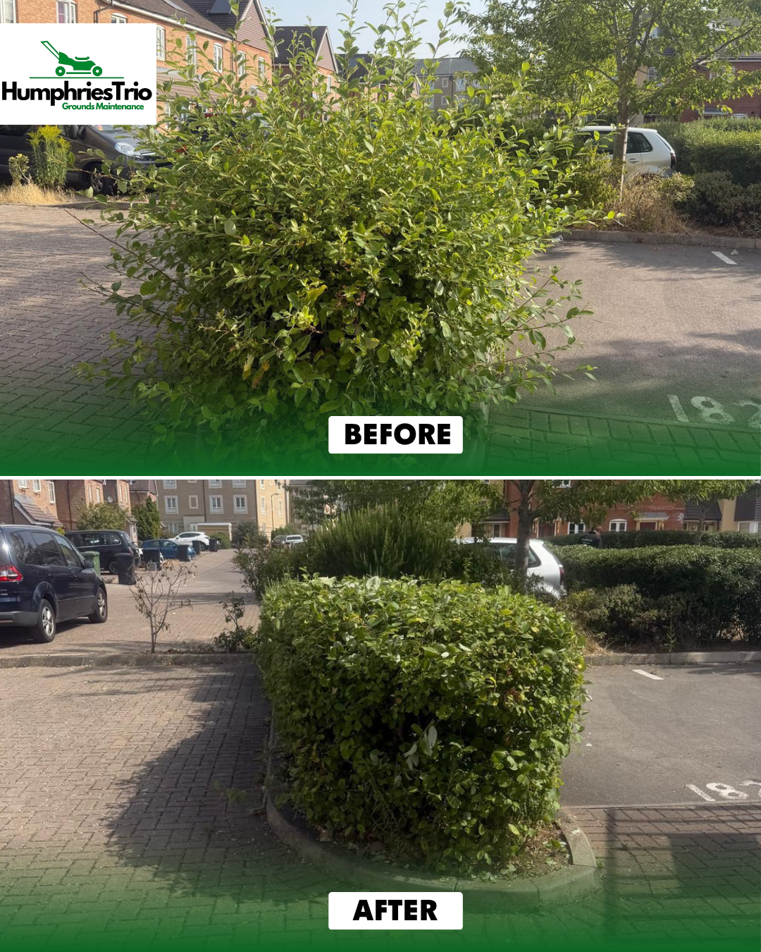 Communal car park hedge reduction before and after