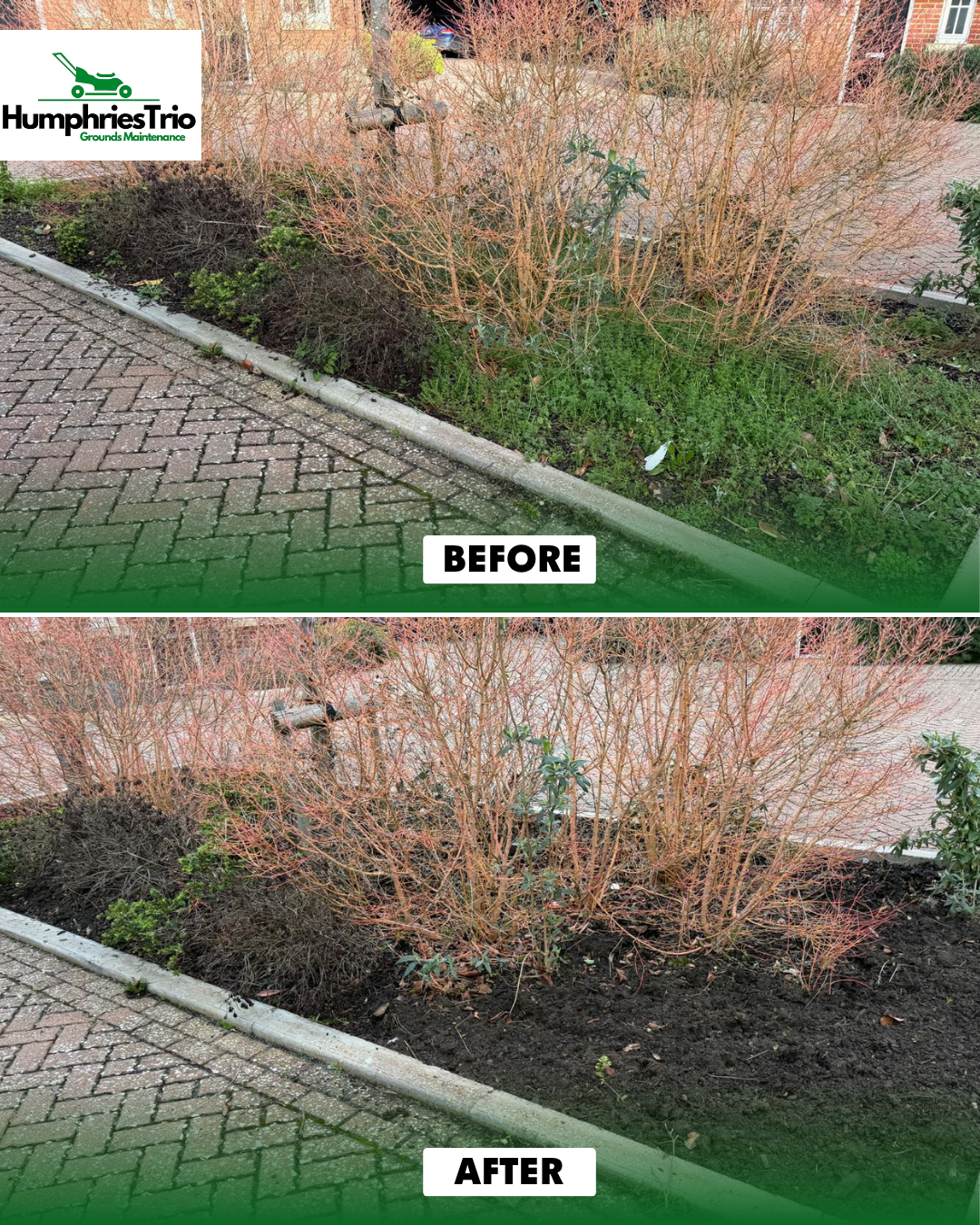 Communal parking island hedge reduction before and after