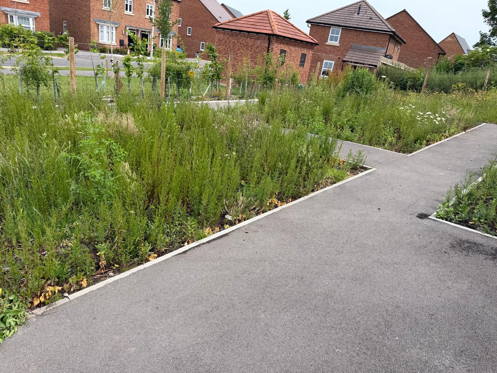meadow, hedgerow or habitat work