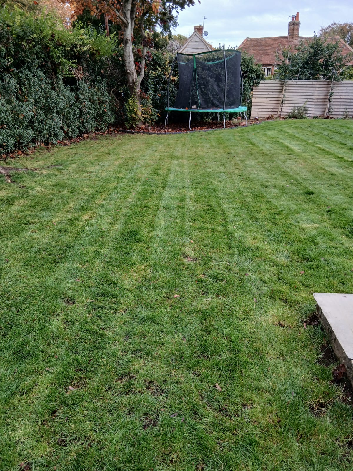 Striped communal lawn maintained to a commercial standard in Buckinghamshire